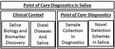 Saliva Liquid Biopsy for Point-of-Care Applications